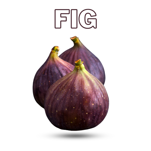 Fig