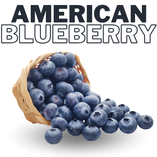 Blueberry