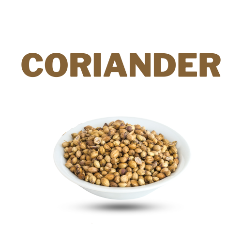 Coriander