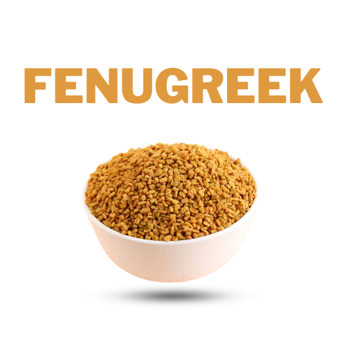 Fenugreek