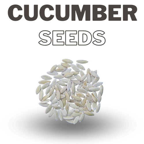 Cucumber Seeds (Shell Removed)